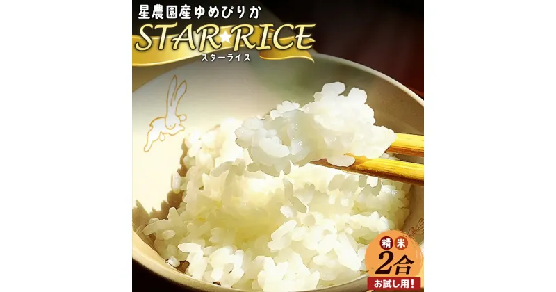 【ふるさと納税】【お試し用！】星農園産ゆめぴりか「STAR　RICE」（精米2合）【A71113】