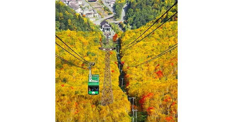 【ふるさと納税】大雪山層雲峡・黒岳ロープウェイ　往復乗車引換券　小学生 1名様【302】【1086077】