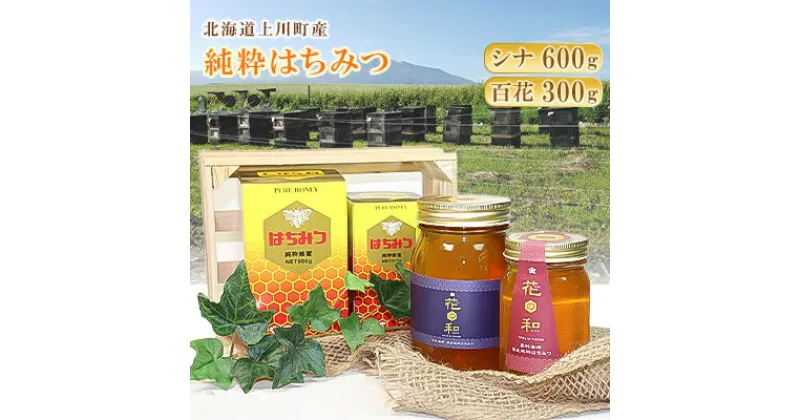 【ふるさと納税】北海道上川町産　純粋はちみつ600g×1本(シナ)300g×1本(百花)【1301】【1099804】