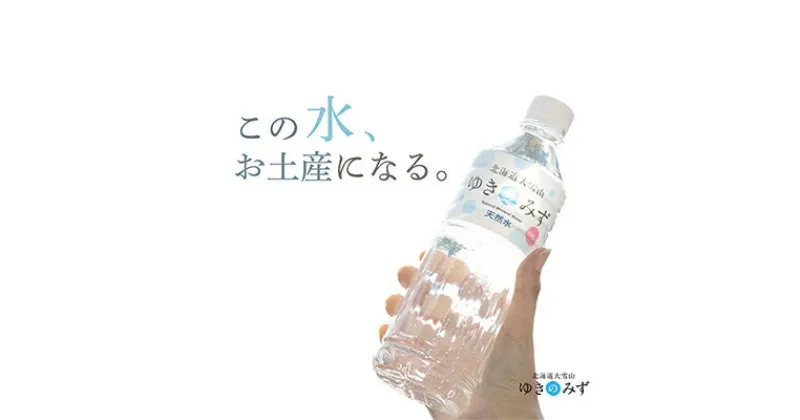 【ふるさと納税】【毎月定期便】北海道大雪山　ゆきのみず　550ml×24本入り全10回【618】【4006864】