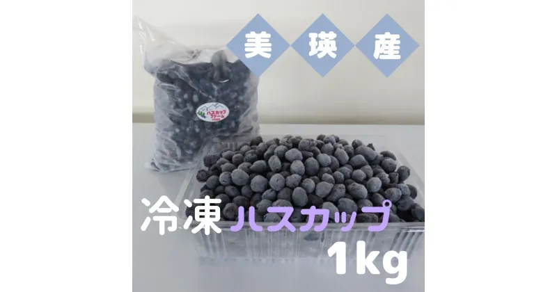 【ふるさと納税】美瑛産冷凍ハスカップ1kg　美瑛　美瑛町　北海道美瑛　北海道美瑛町　ハスカップ　北海道産　美瑛産　びえいハスカップファーム　冷凍フルーツ 果物 くだものお取り寄せグルメ 国産 食べ物 たべもの 食品 ご当地　[016-48]