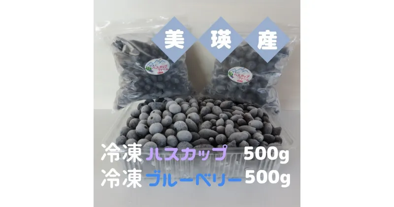 【ふるさと納税】美瑛産冷凍ハスカップ500g・冷凍ブルーベリー500g　北海道　北海道美瑛　北海道美瑛町　美瑛町　ハスカップ　ブルーベリー　びえいハスカップファーム　冷凍フルーツ 果物 くだものお取り寄せグルメ 国産 食べ物 たべもの 食品 ご当地　[016-50]