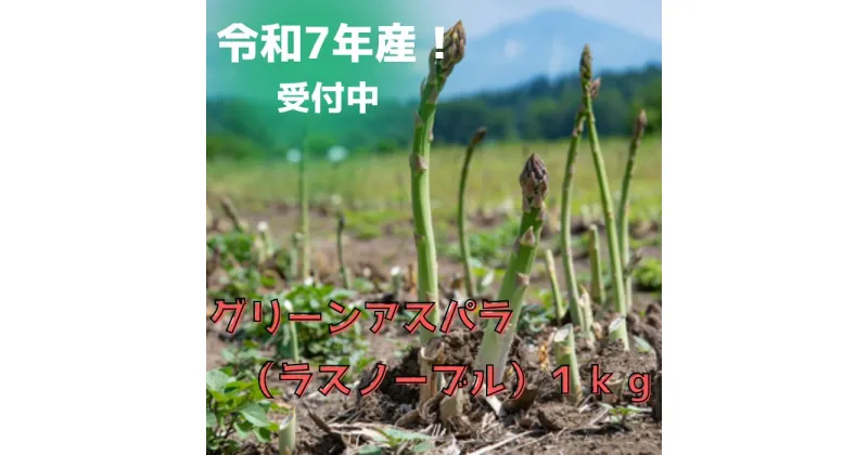 【ふるさと納税】グリーンアスパラ(ラスノーブル)1kg 野菜 北海道　美瑛　北海道美瑛　美瑛町　アスパラガス　北海道産アスパラガス　美瑛産アスパラガス　幻のアスパラガス　アスパラ　　おおとり[010-170]