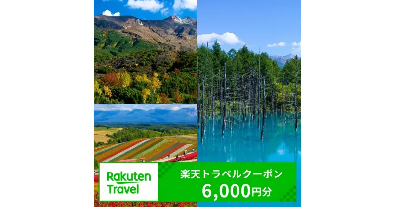 【ふるさと納税】 北海道美瑛町の対象施設で使える楽天トラベルクーポン　寄付額20,000円[020-46]※対象施設は寄附金額により異なるため、「宿泊施設はこちら」よりご確認ください。