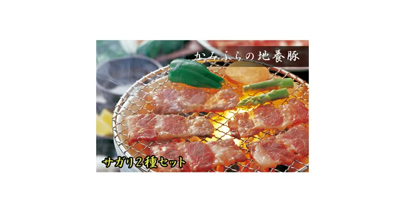 【ふるさと納税】かみふらのポーク【地養豚】サガリ（生・味付）2kgセット　お肉・豚肉・お肉・牛肉・焼肉・バーベキュー