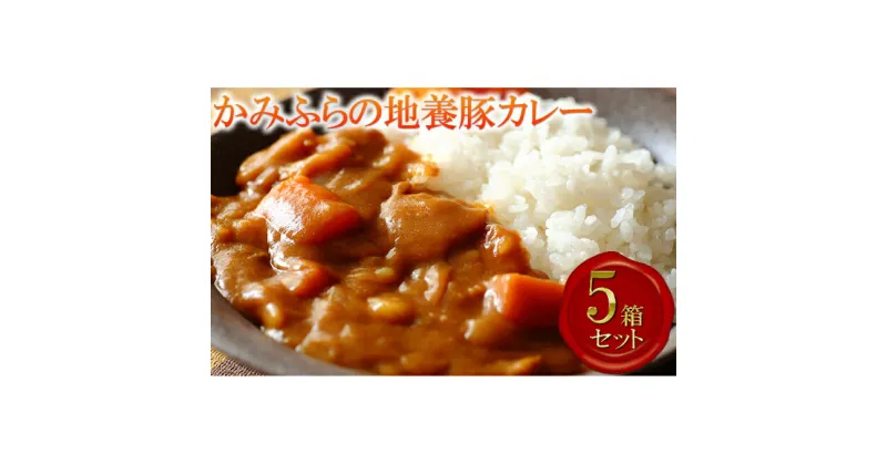 【ふるさと納税】かみふらの地養豚カレー5箱セット　加工食品・惣菜・レトルト・お肉・豚肉・地養豚カレー・カレー