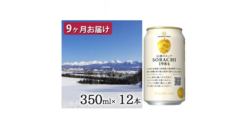 【ふるさと納税】◆定期便(全9回)◆SORACHI 1984≪ソラチ1984≫1箱（350ml×12缶） 吉澤商店 北海道 上富良野町 ソラチ1984 お酒 酒 飲み物 ビール 地ビール サッポロビール サッポロ ギフト　定期便・ 上富良野町