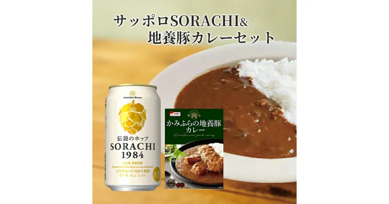 【ふるさと納税】缶ビール(SORACHI1984)8缶＆地養豚カレー4箱セット 北海道 上富良野町 ソラチ1984 地ビール ビール カレー 缶 サッポロビール サッポロ ギフト　 お酒 ビール サッポロビール 地ビール 惣菜 レトルト インスタンスカレー ポークカレー