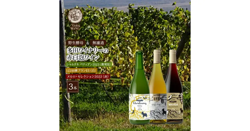 【ふるさと納税】【野生酵母＆無濾過】赤白泡ワイン 3本セット▼多田ワイナリー　赤ワイン・お酒・白ワイン・お酒