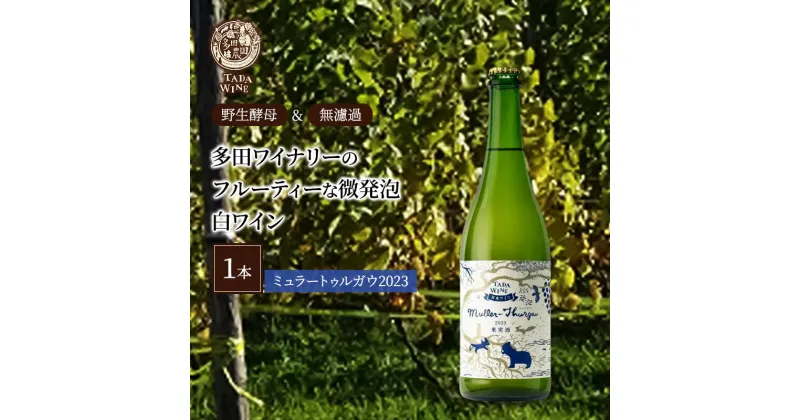 【ふるさと納税】【酸化防止剤無添加】フルーティーな微発泡 白ワイン1本◎野生酵母＆無濾過◎TADA WINERY