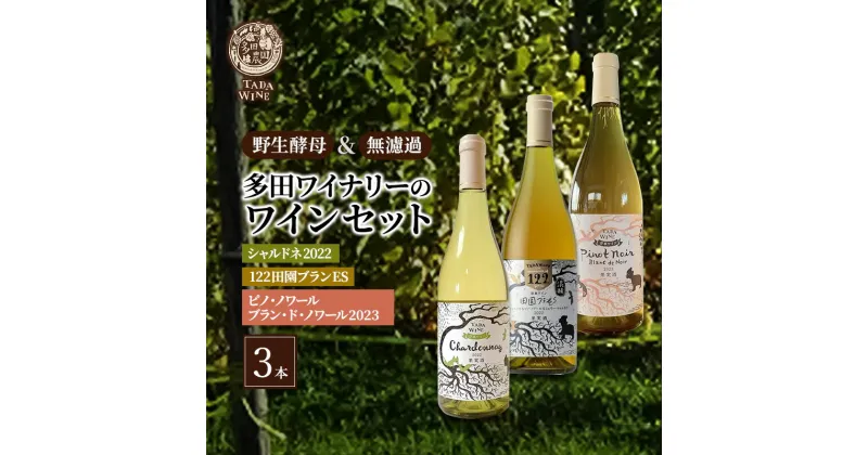 【ふるさと納税】ワイン 辛口白ワイン3本●北海道上富良野町の多田ワイナリー●野生酵母 白ワイン セット 酒 お酒 アルコール