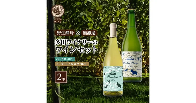 【ふるさと納税】ワイン 【野生酵母】フルーティな白ワイン2本セット●上富良野の多田ワイナリー 白ワイン セット 酒 お酒 アルコール