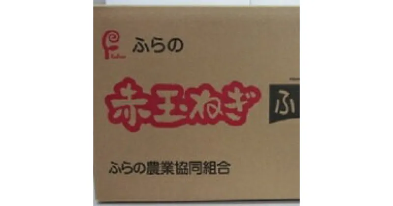 【ふるさと納税】赤玉葱　L大　10kg