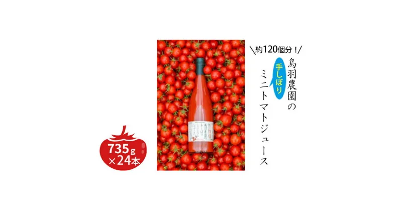 【ふるさと納税】トマトジュース 北海道 手しぼり ミニトマトジュース 735g×24本 セット 鳥羽農園 ミニトマト 約120個分 無塩 無添加 国産 トマト ジュース 食塩無添加 ストレート 飲料 野菜 野菜ジュース ギフト プレゼント 贈答 贈答用 贈答品 贈り物　南富良野町