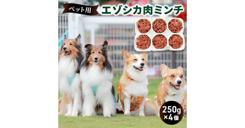 【ふるさと納税】ペットのおやつ【エゾシカ肉のミンチ】250g×4 南富フーズ株式会社 鹿肉 ジビエ 餌 犬 猫 鹿 ペット 健康 無添加 肉 北海道 南富良野町 エゾシカ　雑貨 日用品 犬 猫 手作り オヤツ お菓子