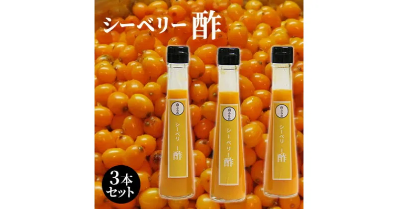 【ふるさと納税】シーベリー酢 3本セット 北海道 南富良野町 シーベリー ベリー 酢 調味料 セット 詰合せ ドレッシング ソース　たれ 調味料 ドレッシング たれ シーベリー 果実酢 酢