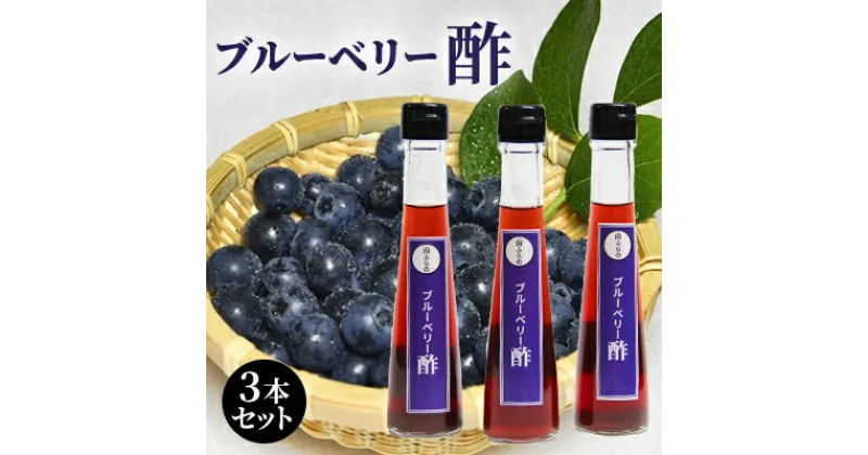 【ふるさと納税】ブルーベリー酢 3本セット 北海道 南富良野町 ブルーベリー ベリー 酢 調味料 セット 詰合せ ドレッシング ソース　たれ 調味料 ドレッシング たれ ドレッシング ブルーベリー酢 酢 果実酢