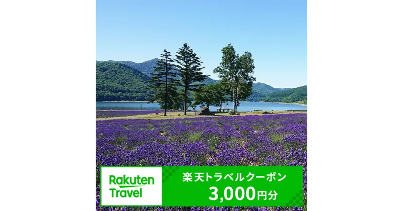 【ふるさと納税】北海道南富良野町の対象施設で使える 楽天トラベルクーポン 寄付額10,000円（クーポン 3,000円分） 北海道 宿泊 宿泊券 ホテル 旅館 旅行 旅行券 観光 トラベル チケット 旅 宿 券