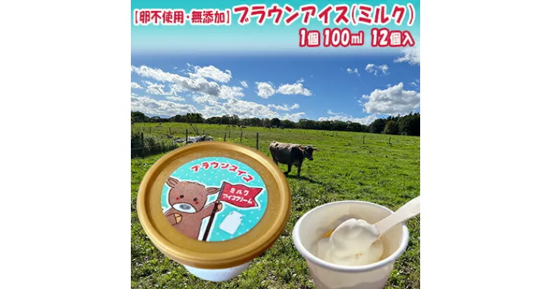 【ふるさと納税】【卵不使用・無添加】ブラウンアイス（100ml）12個セット 北海道 南富良野町 アイス デザート おやつ 無添加 バニラアイス バニラ アイスクリーム　南富良野町