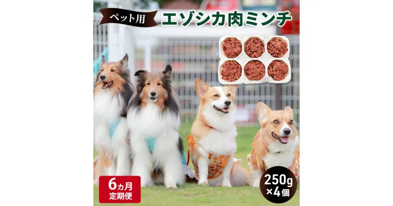 【ふるさと納税】6ヵ月定期便 ペットのおやつ【エゾシカ肉のミンチ】250g×4 南富フーズ株式会社 鹿肉 ジビエ 餌 犬 猫 鹿 ペット 健康 無添加 肉 北海道 南富良野町 エゾシカ　定期便・南富良野町