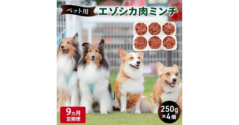 【ふるさと納税】9ヵ月定期便 ペットのおやつ【エゾシカ肉のミンチ】250g×4 南富フーズ株式会社 鹿肉 ジビエ 餌 犬 猫 鹿 ペット 健康 無添加 肉 北海道 南富良野町 エゾシカ　定期便・南富良野町