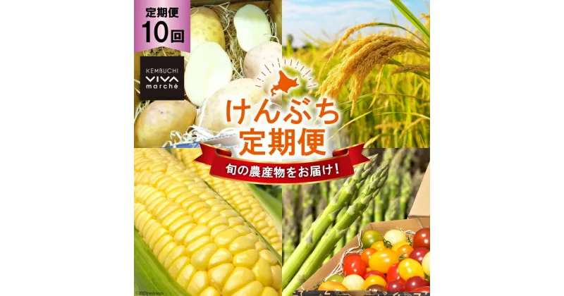 【ふるさと納税】 10回定期便 【剣淵町産】 けんぶち定期便 [VIVAマルシェ 北海道 剣淵町 14656275] 定期便 やさい 野菜 季節の野菜 旬野菜 お米 米 こめ はちみつ ハチミツ 蜂蜜