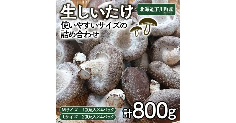 【ふるさと納税】生しいたけ【使いやすいサイズの詰め合わせ】800g Mサイズ(100g×4パック) Lサイズ(200g×2パック) 軸太 肉厚 椎茸 シイタケ 野菜 やさい 故郷 ふるさと 納税 国産 北海道産 北海道 下川町 F4G-0013