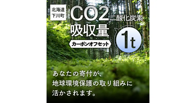 【ふるさと納税】CO2（二酸化炭素）吸収量 1t カーボンオフセット 故郷 ふるさと 納税 北海道 下川町 F4G-0011