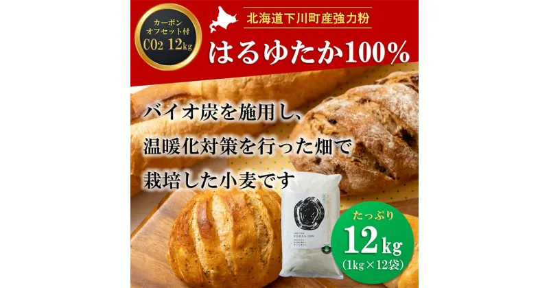 【ふるさと納税】北海道下川町産強力粉はるゆたか100% 12kg バイオ炭施用 カーボン・オフセット付 F4G-0198