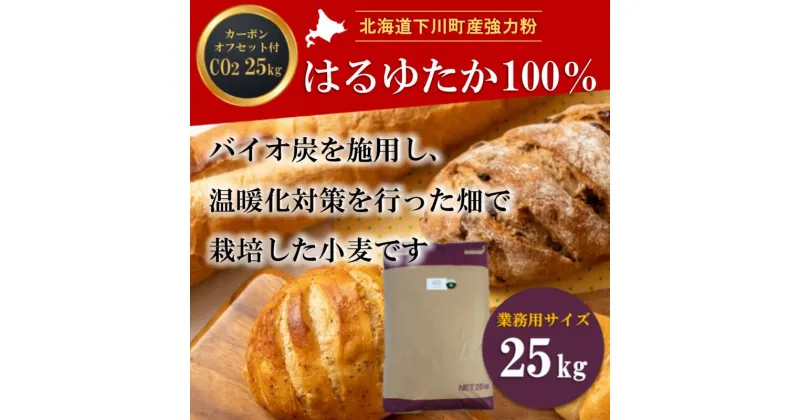 【ふるさと納税】北海道下川町産強力粉はるゆたか100% 25kg バイオ炭施用 カーボン・オフセット付 F4G-0219