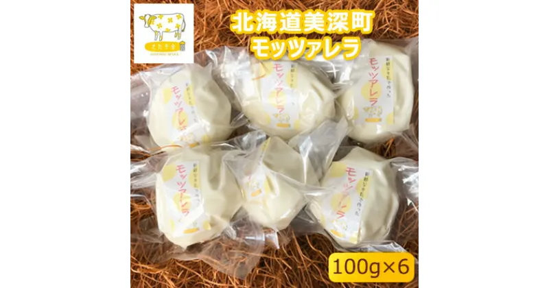 【ふるさと納税】北海道美深町 モッツァレラ100g×6【北ぎゅう舎】　加工食品・乳製品・チーズ