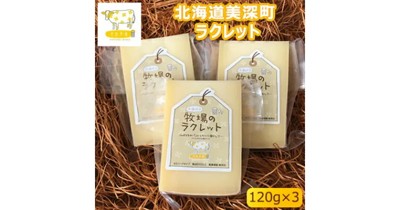 【ふるさと納税】北海道美深町 ラクレット120g×3【北ぎゅう舎】　加工食品・乳製品・チーズ