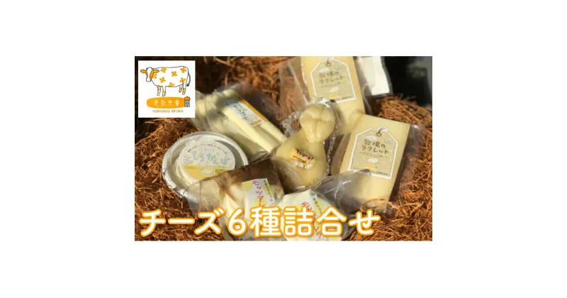 【ふるさと納税】北海道美深町 チーズ6種詰め合わせ【北ぎゅう舎】　加工食品・乳製品・チーズ・詰合せ