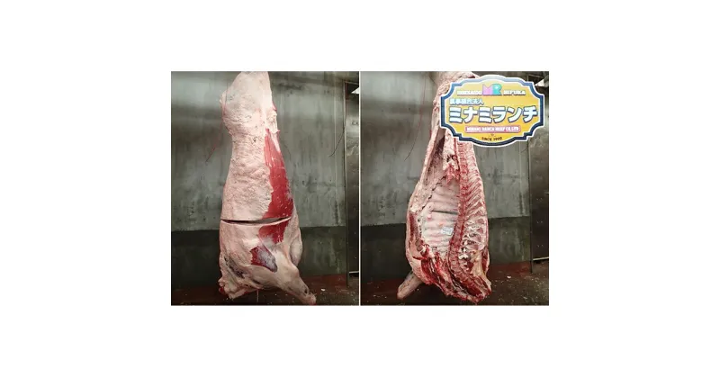 【ふるさと納税】北海道美深産 エアリアルビーフ 1頭分フルセット 約300kg　牛肉・サーロイン・お肉・牛肉・ヒレ・お肉・牛肉