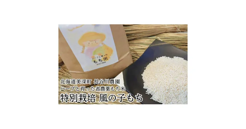 【ふるさと納税】ハーブと育った省農薬の特別栽培もち米「風の子もち」5kg×1【北海道美深町】長谷川農園　餅米・もち米