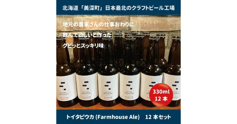 【ふるさと納税】美深のクラフトビール　定番その3の12本セット【北海道美深町】　 お酒 地ビール アルコール アルコール飲料 家飲み 宅飲み 飲み会 晩酌 北海道ビール 飲み物 ご当地ビール 　お届け：2023年9月末から順次出荷