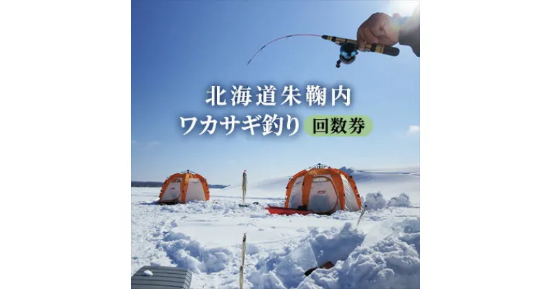 【ふるさと納税】北海道朱鞠内 ワカサギ釣り回数券　チケット