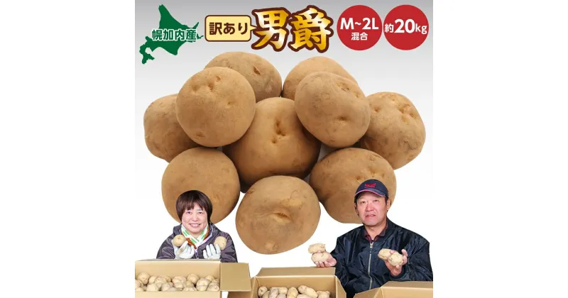 【ふるさと納税】北海道 幌加内産 じゃがいも（ 男爵 ）約20kg 笠井ファーム　とうもろこし・野菜・じゃがいも・芋　お届け：2024年9月下旬～12月中旬