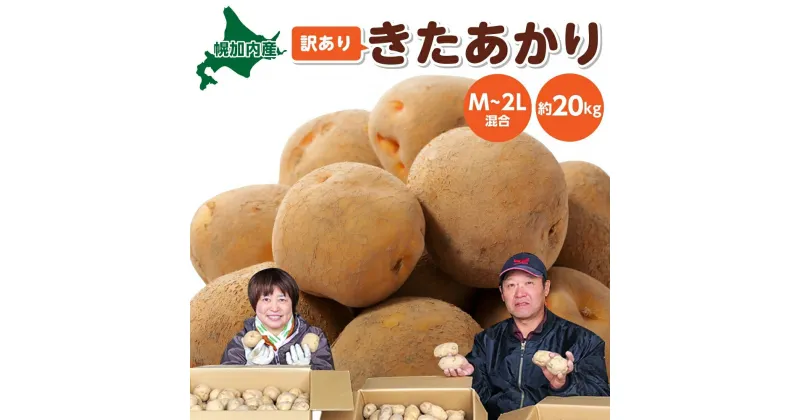 【ふるさと納税】北海道 幌加内産じゃがいも（ きたあかり ）約20kg 笠井ファーム　野菜・イモ・野菜・じゃがいも・ジャガイモ・芋・キタアカリ　お届け：2024年9月下旬～12月中旬