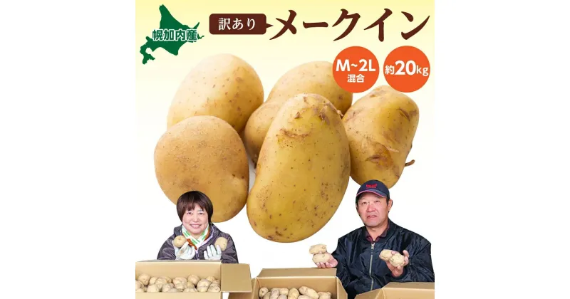 【ふるさと納税】北海道 幌加内産 じゃがいも（ メークイン ）約20kg 笠井ファーム　野菜・イモ・じゃがいも・ジャガイモ・芋　お届け：2024年9月下旬～12月中旬