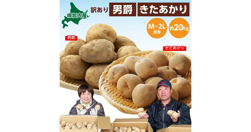 【ふるさと納税】北海道 幌加内産 じゃがいも（ 男爵 ・ きたあかり ）約20kg 笠井ファーム　野菜・じゃがいも・キタアカリ・ジャガイモ・芋　お届け：2024年9月下旬～12月中旬