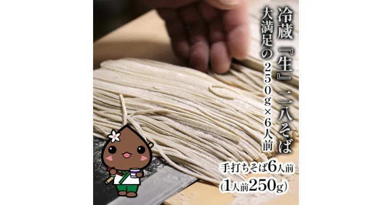 【ふるさと納税】冷蔵『生』二八そば 大満足の250g×6人前 北海道幌加内【霧立亭】　麺類・二八そば・そば・蕎麦・手打ち・手打ちそば