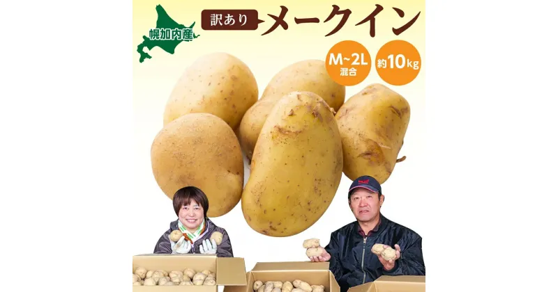 【ふるさと納税】北海道 幌加内産 じゃがいも（メークイン）約10kg 笠井ファーム　 野菜 根菜 ポテト 北海道産 北海道のジャガイモ 食べ物 国産 しっとり 煮崩れしにくい 煮込み料理 　お届け：2024年9月下旬～12月中旬