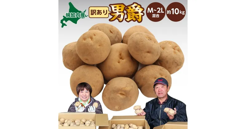 【ふるさと納税】北海道 幌加内産 じゃがいも（男爵）約10kg 笠井ファーム　 野菜 根菜 ポテト 北海道産 北海道のジャガイモ 食べ物 食品 国産 日本産 ホクホク 旬の味 　お届け：2024年9月下旬～12月中旬