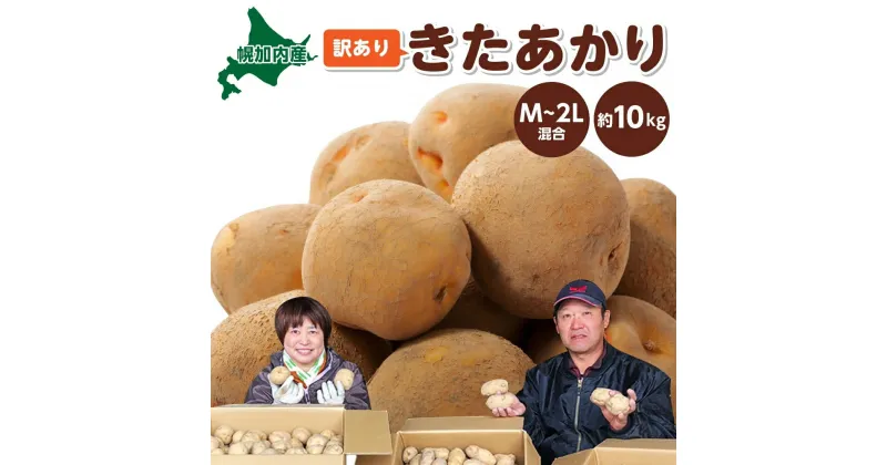 【ふるさと納税】北海道 幌加内産 じゃがいも（きたあかり）約10kg 笠井ファーム　 野菜 根菜 ポテト 北海道産 北海道のジャガイモ 食べ物 食品 国産 日本産 程良い甘み ホクホク 　お届け：2024年9月下旬～12月中旬