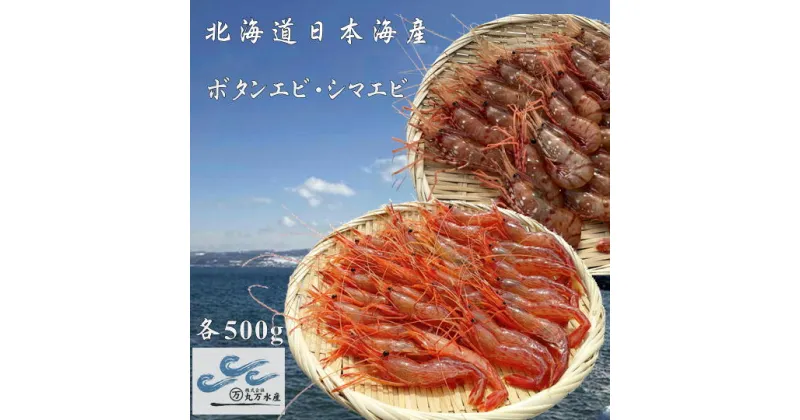 【ふるさと納税】6-022-004　冷凍ボタンエビ・しまえびセット 各500g　海老・エビ・海老・ぼたんエビ・海老・エビ　お届け：入金確認後、随時発送（おおよそ1週間～1ヶ月）