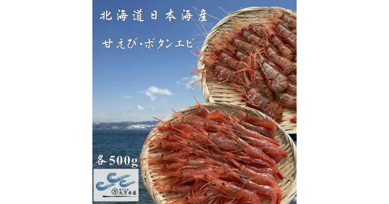 【ふるさと納税】6-022-003　冷凍甘えび・ボタンエビセット 各500g　海老・ぼたんエビ・甘海老・あまエビ・海老・エビ　お届け：入金確認後、随時発送（おおよそ1週間～1ヶ月）