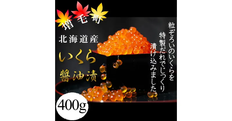 【ふるさと納税】6-014-003　ぐるめ食品の醤油いくら 400g　魚貝類・いくら・魚卵　お届け：入金確認後、随時発送（おおよそ2週間～2ヶ月）