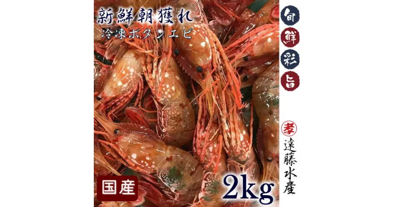 【ふるさと納税】6-055-001　国産ボタンエビ 2kg（500×4）　海老・ぼたんエビ　お届け：入金確認後、随時発送（おおよそ1週間～1ヶ月）