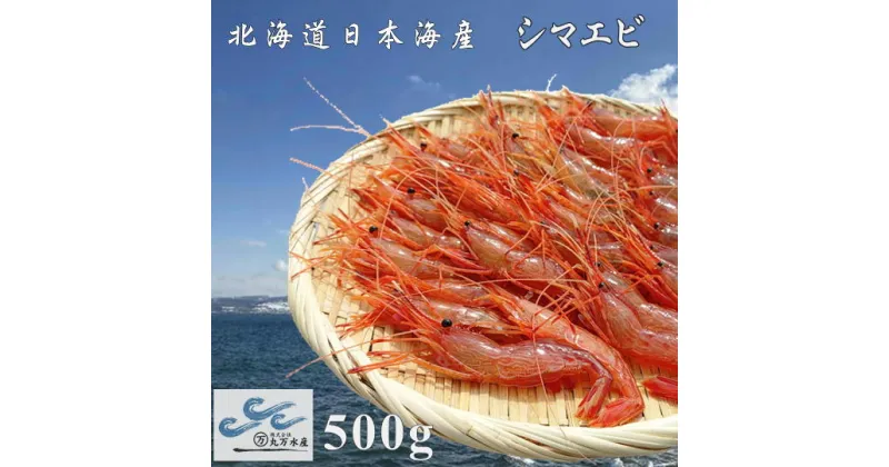 【ふるさと納税】6-008-007　冷凍しまえび 500g（約40尾）　海老・エビ　お届け：入金確認後、1週間～1ヶ月以内